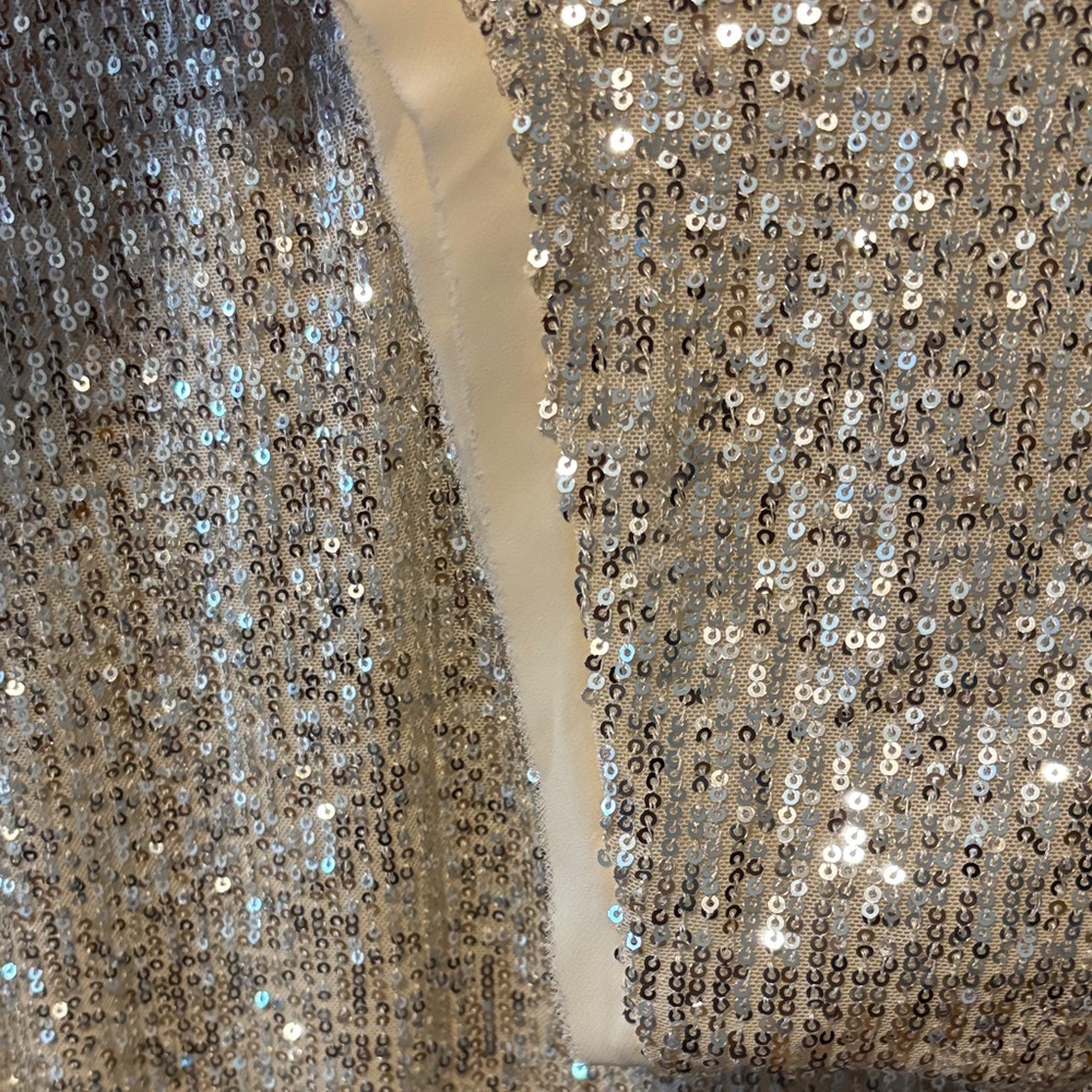 Lucy Paris Shimmering Silver Sequin Crop Top - Picture 6 of 8